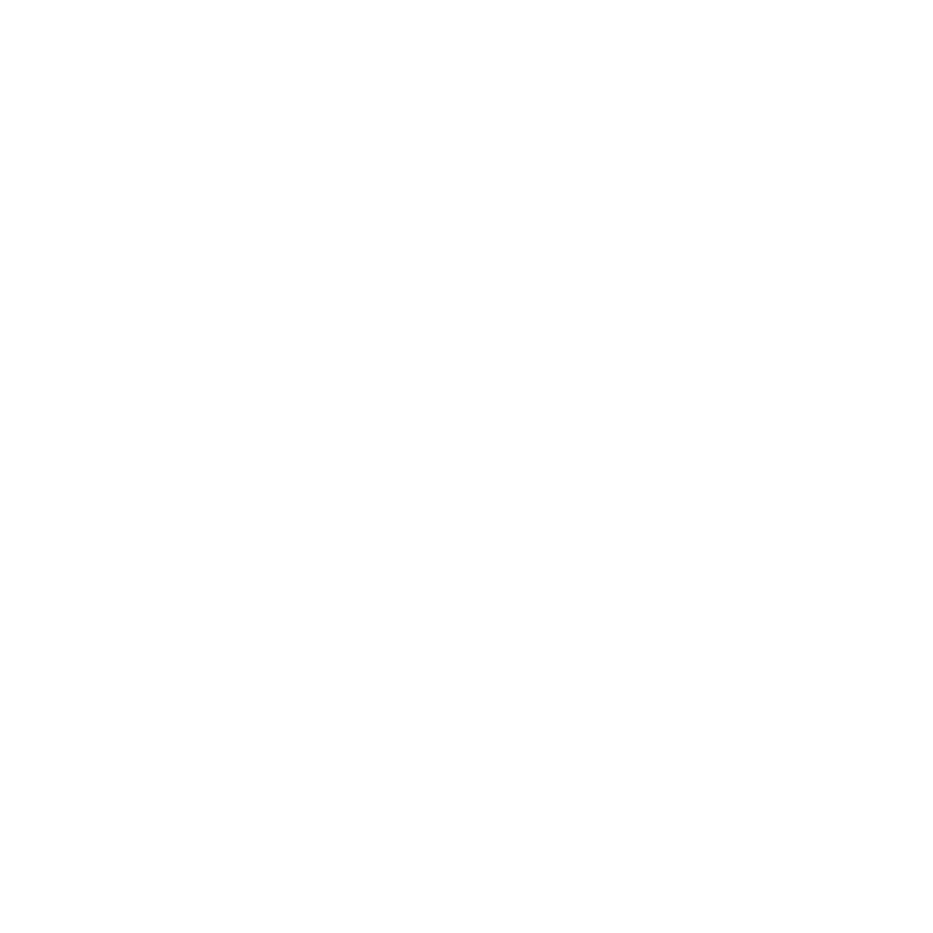 McNick & Company logo